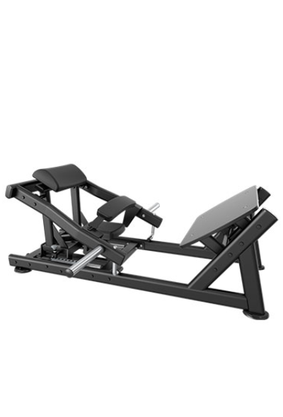 ELEVACION DE PELVIS                                             FX 006A